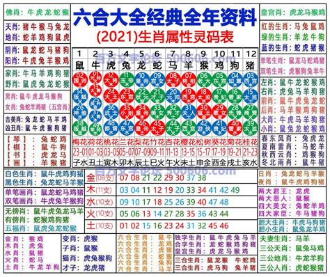 六合彩生肖|2024年【六合彩生肖号码】属性知识对照表